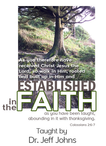 Established in the Faith